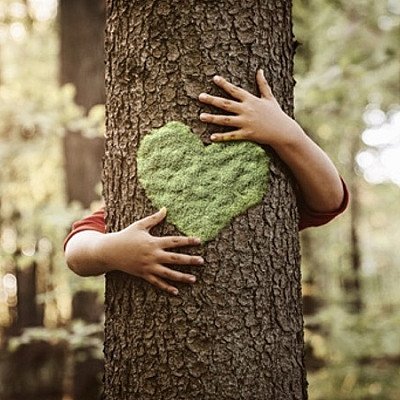 Contact met de Ziel der Bomen!