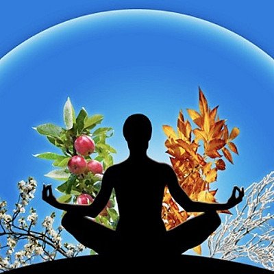 Hart- en Zonnevlecht meditatie!