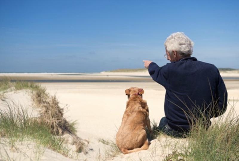 Hoera, het is Vakantie!