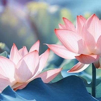 Germaanse Geneeskunde