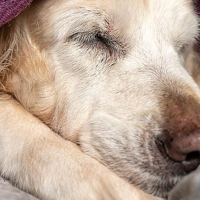 De Stilte na het Jaar