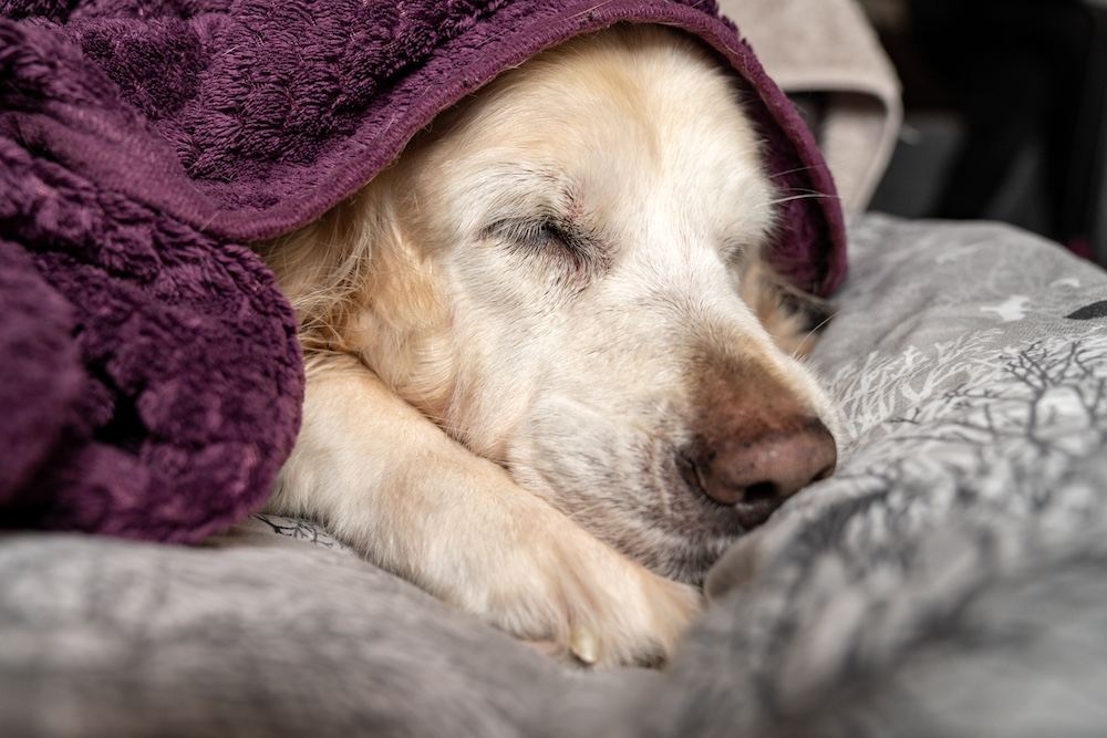 De Stilte na het Jaar