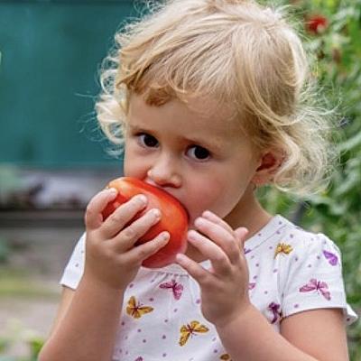 Vragen, Antwoorden en Tomaatjes