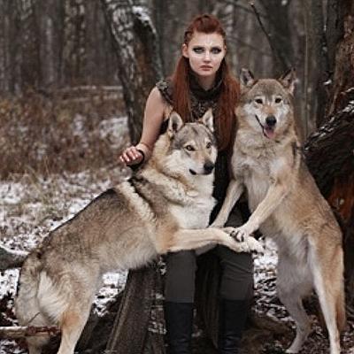 Wat hebben wolven met de kus te maken?