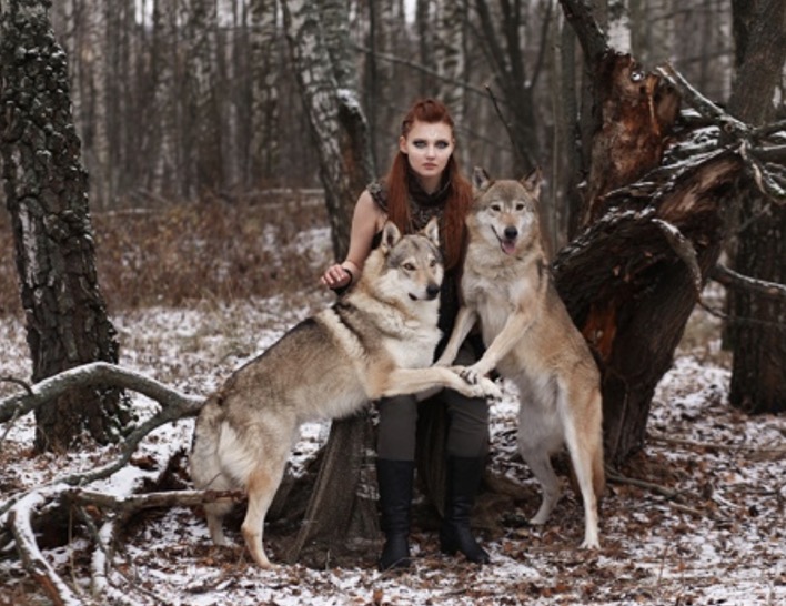 Wat hebben wolven met de kus te maken?