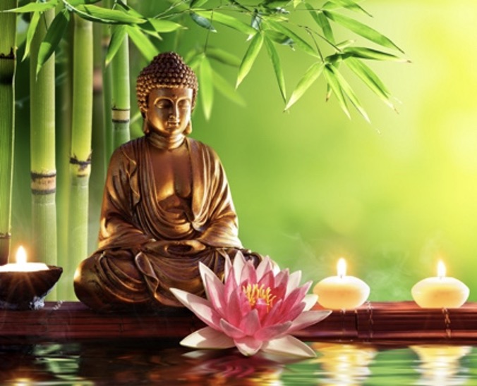 de Wereld is mijn Thuis!