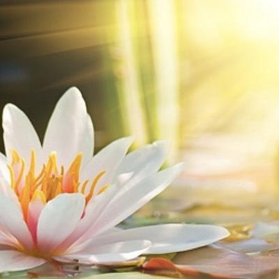 Krishnamurti: Wat is jouw waarheid?