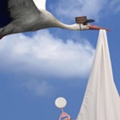 de Kracht van Verhalen