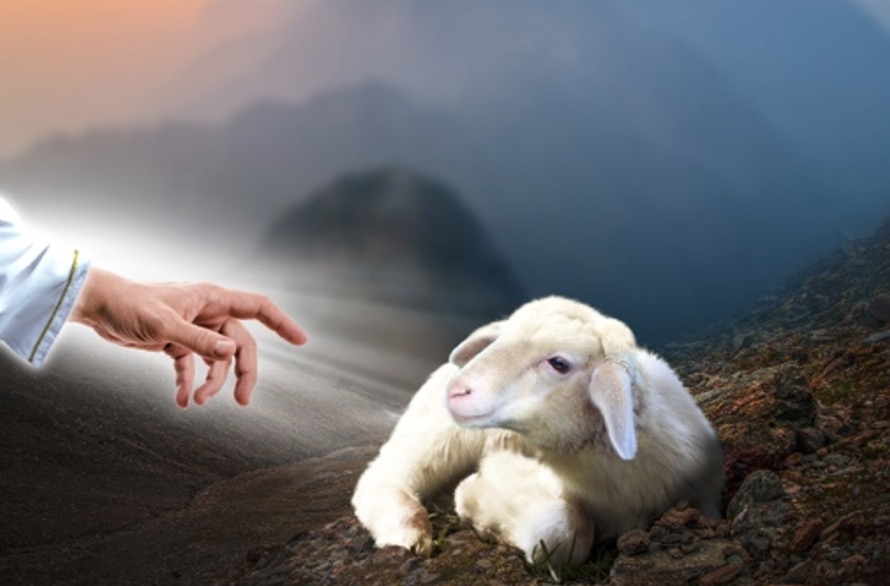 Psalm 23 – de Heer is mijn Redder. 