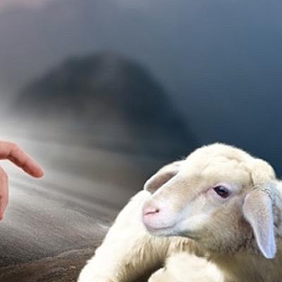 Psalm 23 – de Heer is mijn Redder. 