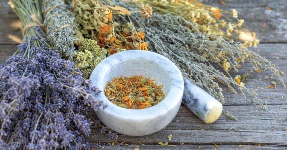 Helende Kruiden in de Germaanse Geneeskunst! 