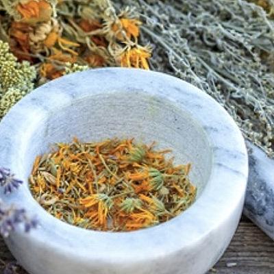 Helende Kruiden in de Germaanse Geneeskunst! 