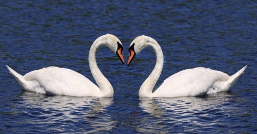 Verder met de cijfers 2 t/m 6 van je geboortedatum!