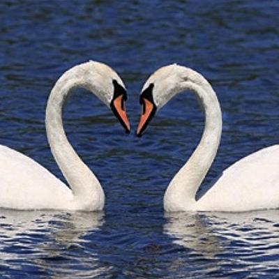 Verder met de cijfers 2 t/m 6 van je geboortedatum!