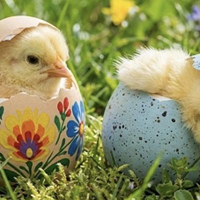 Pasen, de Bij en meer