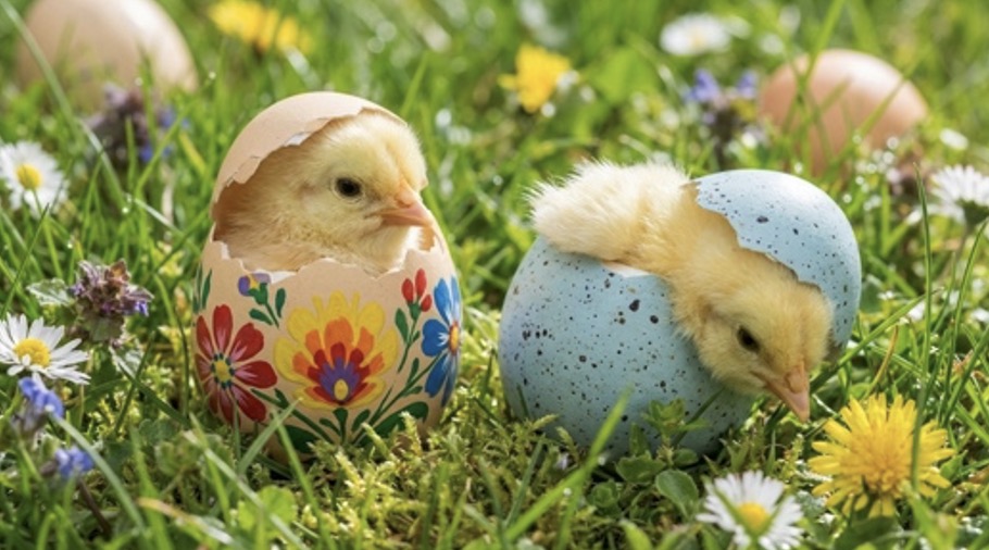 Pasen, de Bij en meer