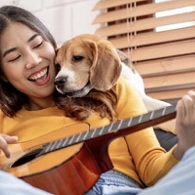 je Stem, Zweet en meer…