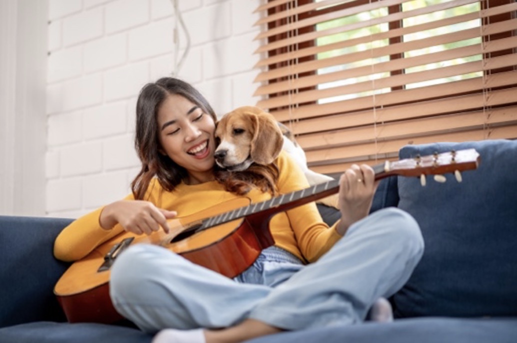 je Stem, Zweet en meer…